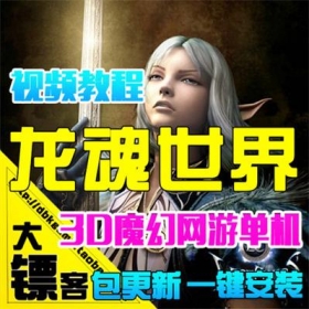 龙魂世界单机版 西方魔幻3D网游一键服务端 GM游戏口令ID